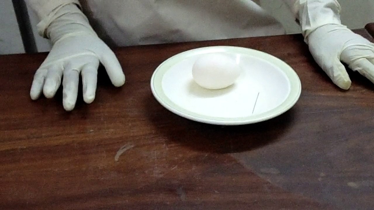 Amazing Magic Trick To Enter The Pin Into An Egg