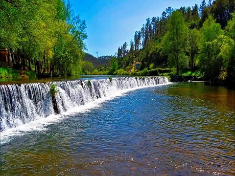 Ilustrações do Reino de Deus - Os dois jumentos e o caminho - Juanribe Pagliarin - Glória a Deus.