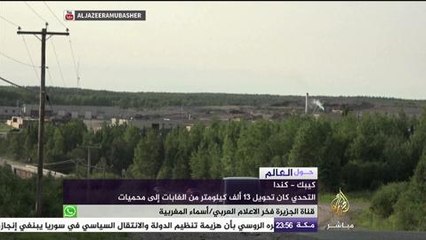 محاولات في كندا لتحويل ١٣ ألف كليو متر من الغابات لمحميات طبيعية