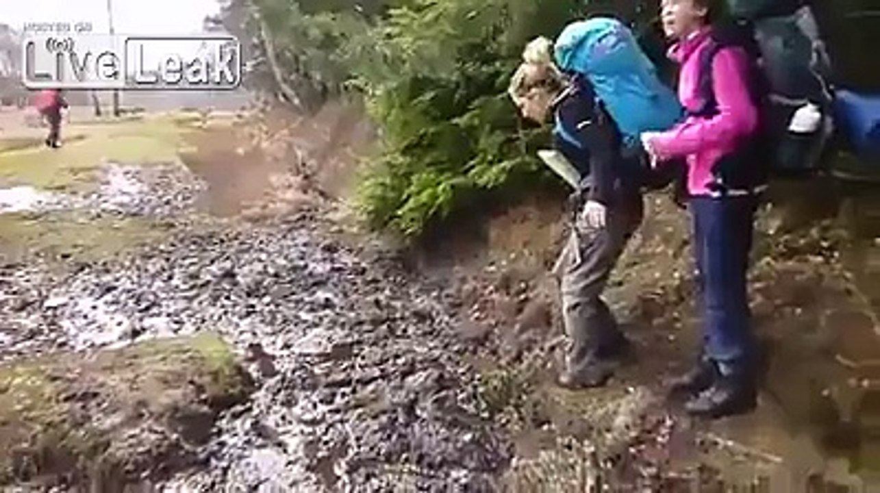 Go for it they said.