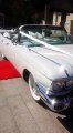 Ace American Convertibles – 1959 Cadillac wedding car