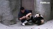 When you really don't want your injection... Pandas resisting to be injected... Cute!