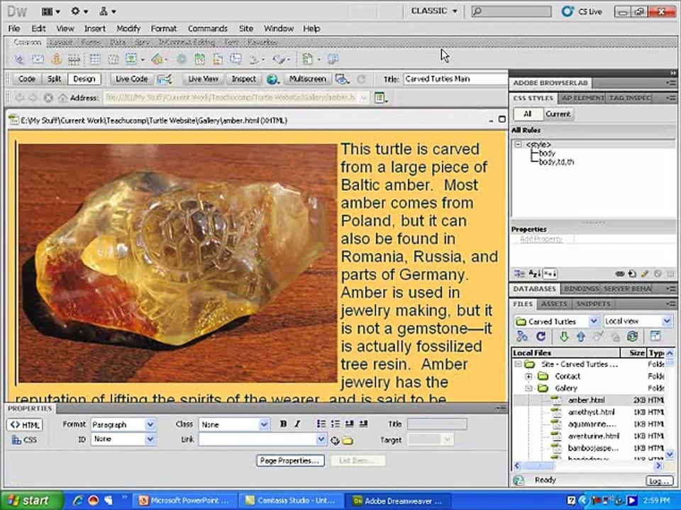 Learning Adobe Dreamweaver Environment