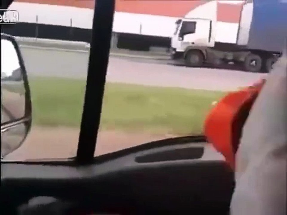 loyalty dog Video Must Watch