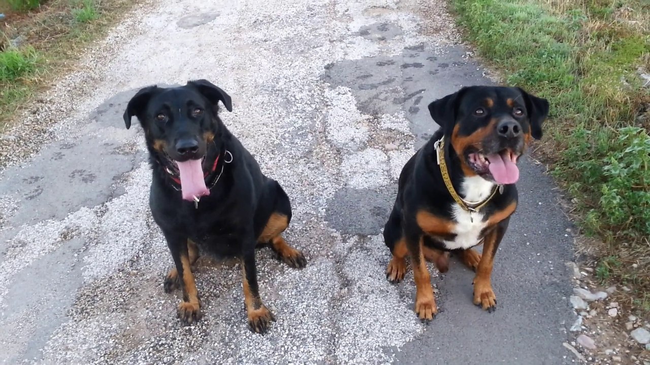 ARES LILI BALADE 18-09-15