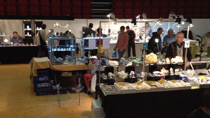 Les merveilles du salon minéraux et fossiles