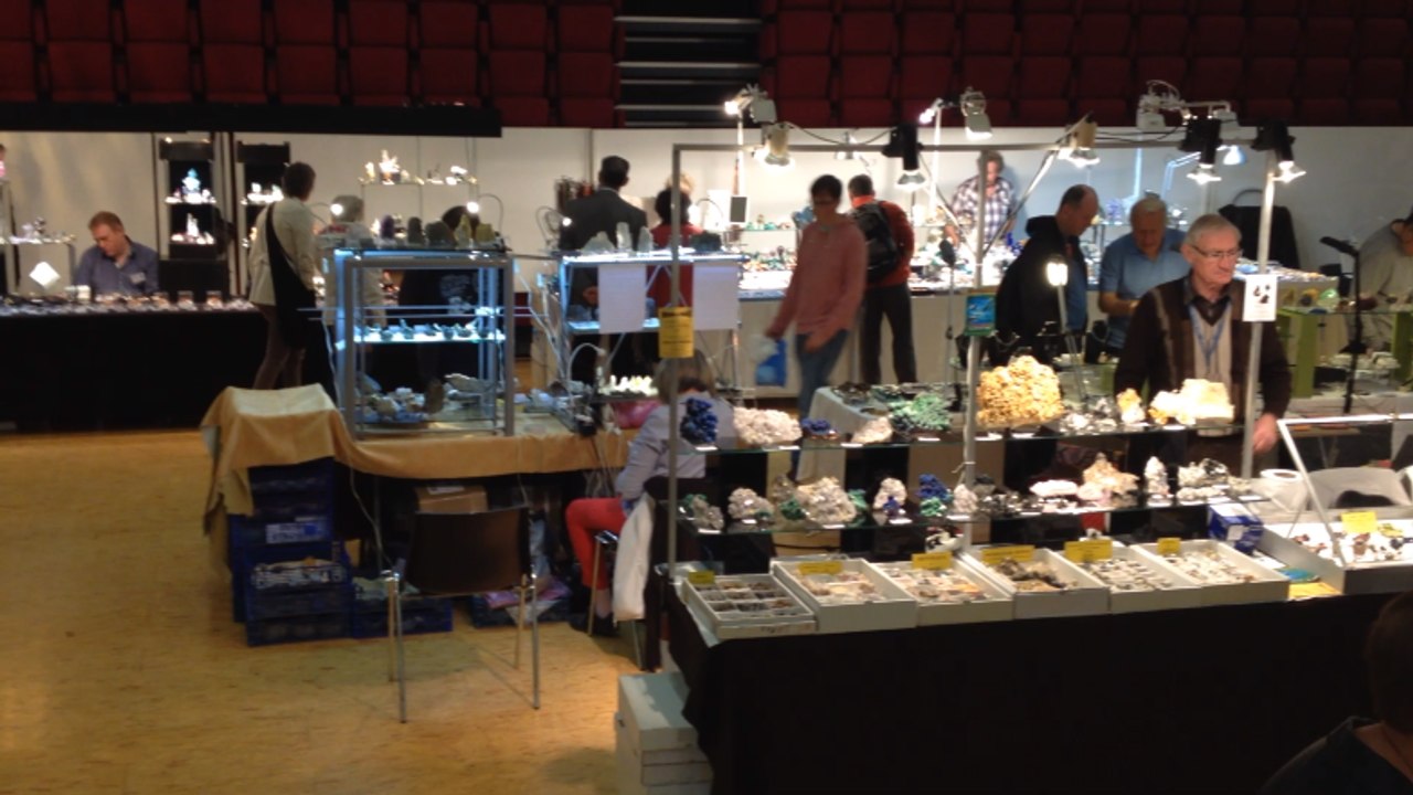 Les merveilles du salon minéraux et fossiles