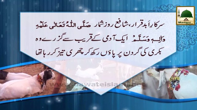 Bakri Churri Ki Taraf Dekh Rahi Thi - Eid e Quran