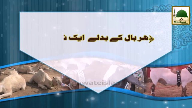 Har Bal Kay Badlay Aik Neki - Eid-e-Qurban