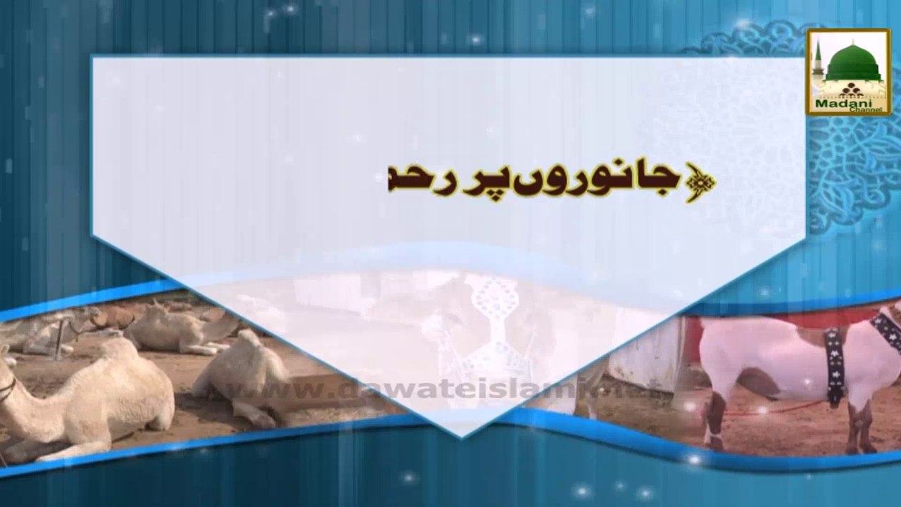 Janwaron Par Reham Karain - Eid-e-Qurban
