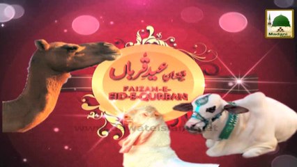 Pul Sirat Ki Suwari - Eid-e-Qurban