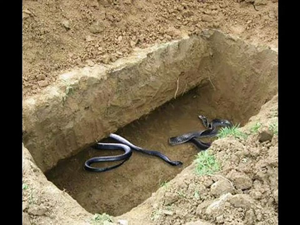 Maulana Tariq Sahab Pashto Bayan Da Qabar Azab Part (1 Of 4) Beautiful Awaz