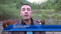 D!CI TV : La foire aux bestiaux de Réallon, l'une des dernières existantes