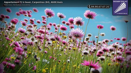 Appartement F2 à louer, Carpentras (84), 460€/mois