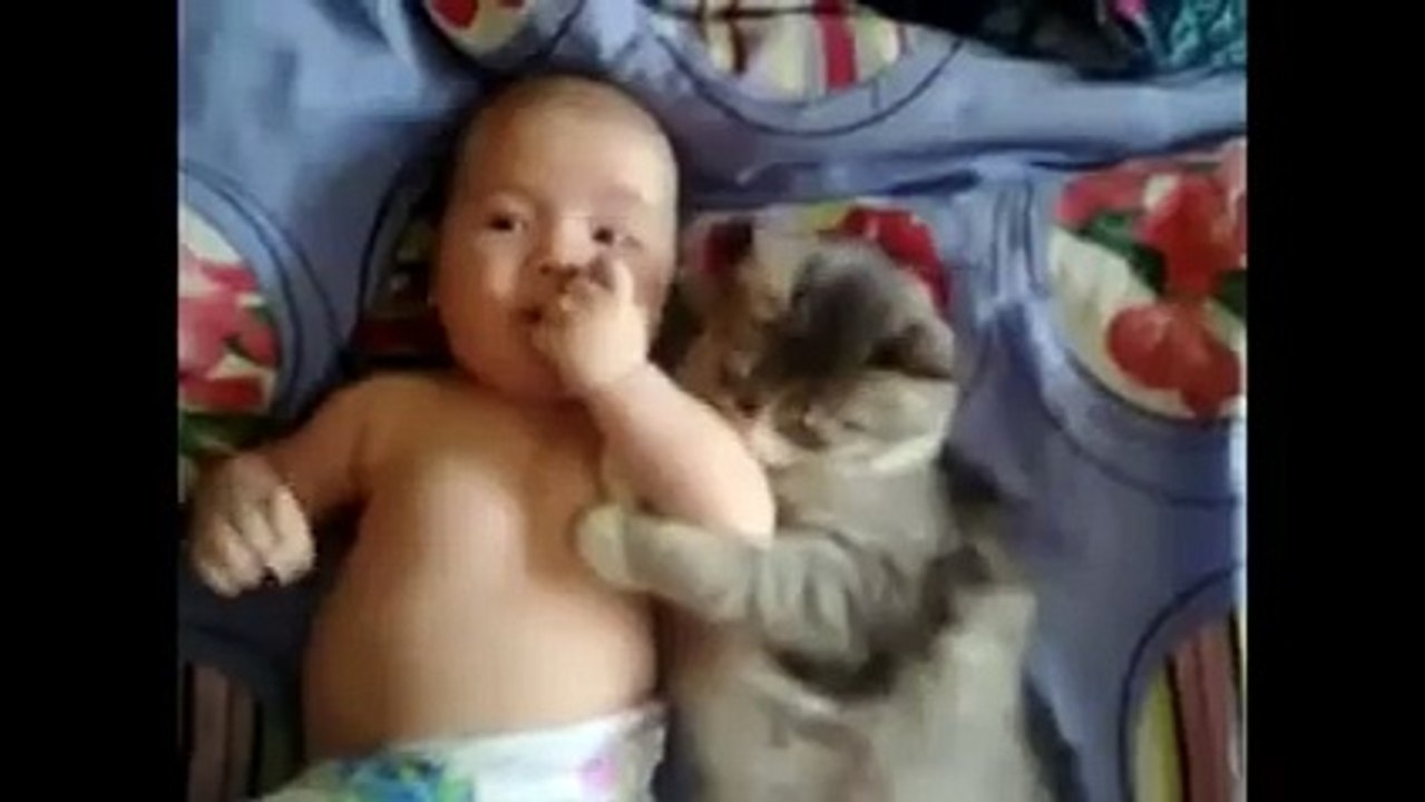funny video