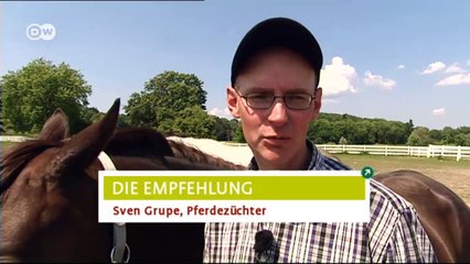 Mecklenburger Seenplatte - drei Reisetipps | Hin & weg