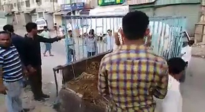 Cows run away after unloading