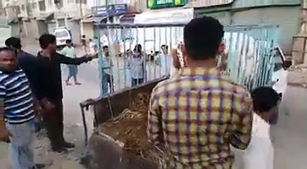 Cows run away after unloading