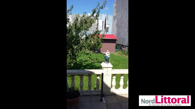 Les riverains de la rue Duguay Trouin à Calais ont de gros problèmes de nuisances sonores.