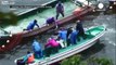 that time of year again as japanese fishermen slaughter whole pods of dolphins