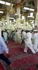 عاجل بفضل الله عز و جل القبض على رجل حاول فجر اليوم تفجير المسجد النبوي بالمدينة المنورة