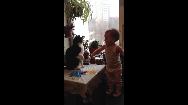 Кот играет с ребенком смешное видео!