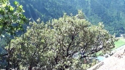 11.07.2015 - Géocaching - Sant Vicenç d'Enclar