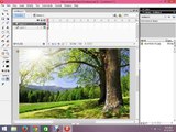 Tutorial of Micromedia Flash professional 8 of Masking of Image in to a Shape