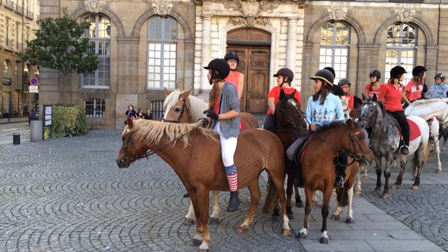 La fête du cheval, de l'âne et du poney