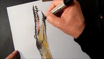 3D Drawing a Leaping Crocodile, Illusion Art - YouTube