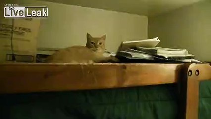 This Pussy Likes Getting Pounded