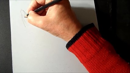 Drawing a 3D Wolf