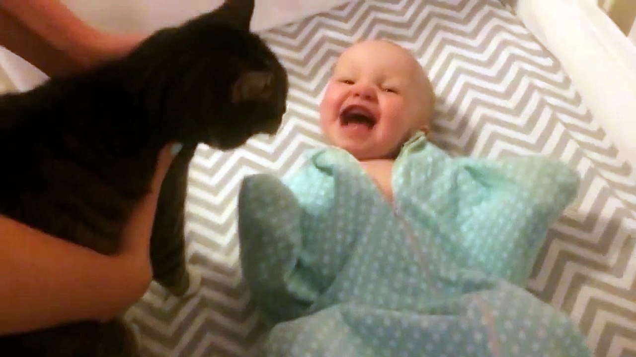 Un bébé trop heureux de voir un chat pour la première fois