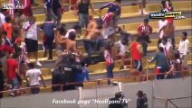 Football hooligans v police, hooligans win