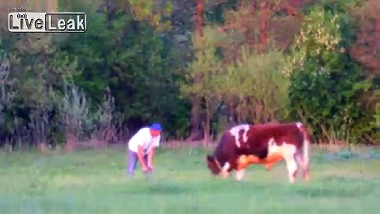 Russian guy vs bull. Who will win?