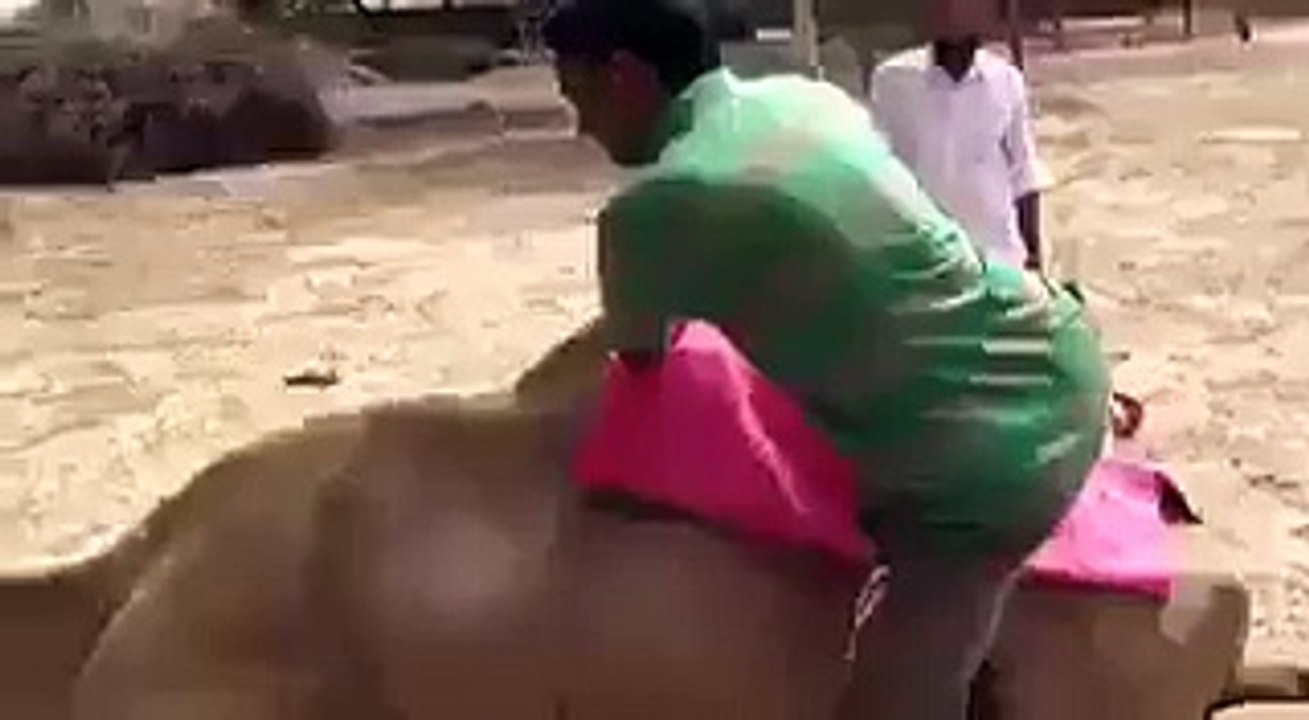 funny video