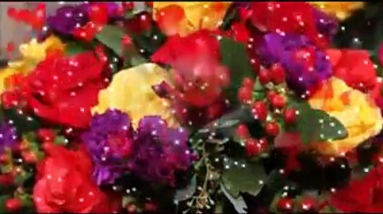 Dario Colombo - Io ti voglio Mari'