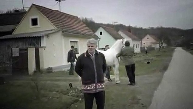 Miroslav Škoro - Zasto lazu nam u lice?