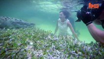 Snap Shot- Model Poses Underwater Inches From Deadly Crocodiles - Video Dailymotion