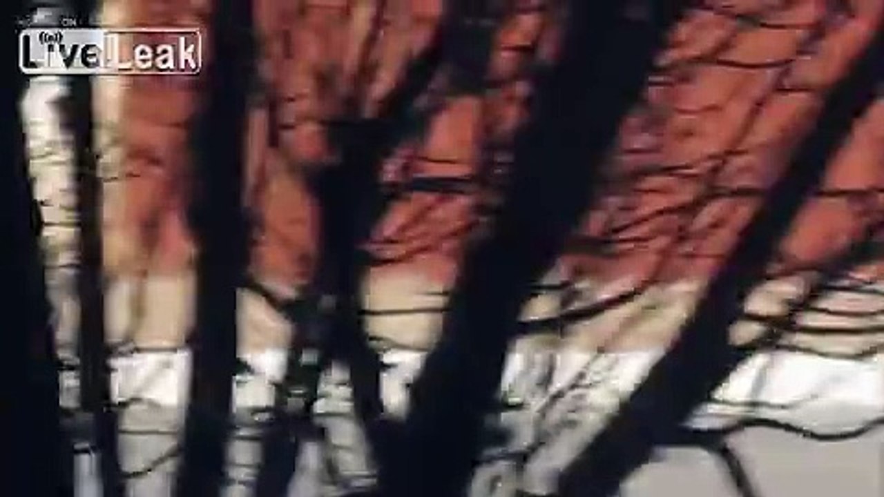 Woman alone during the day catches young man on video trying to break into her home
