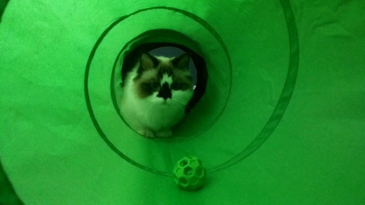 Tunnelball