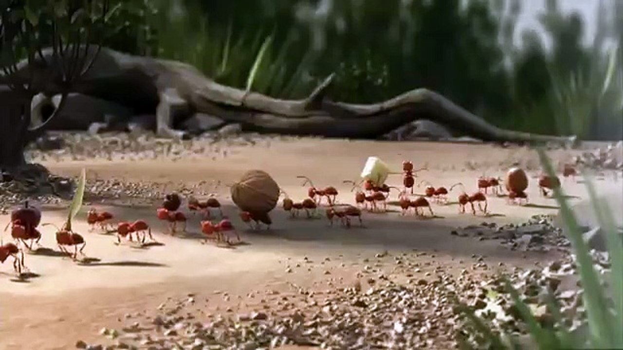 Banned Bus commercial 2013