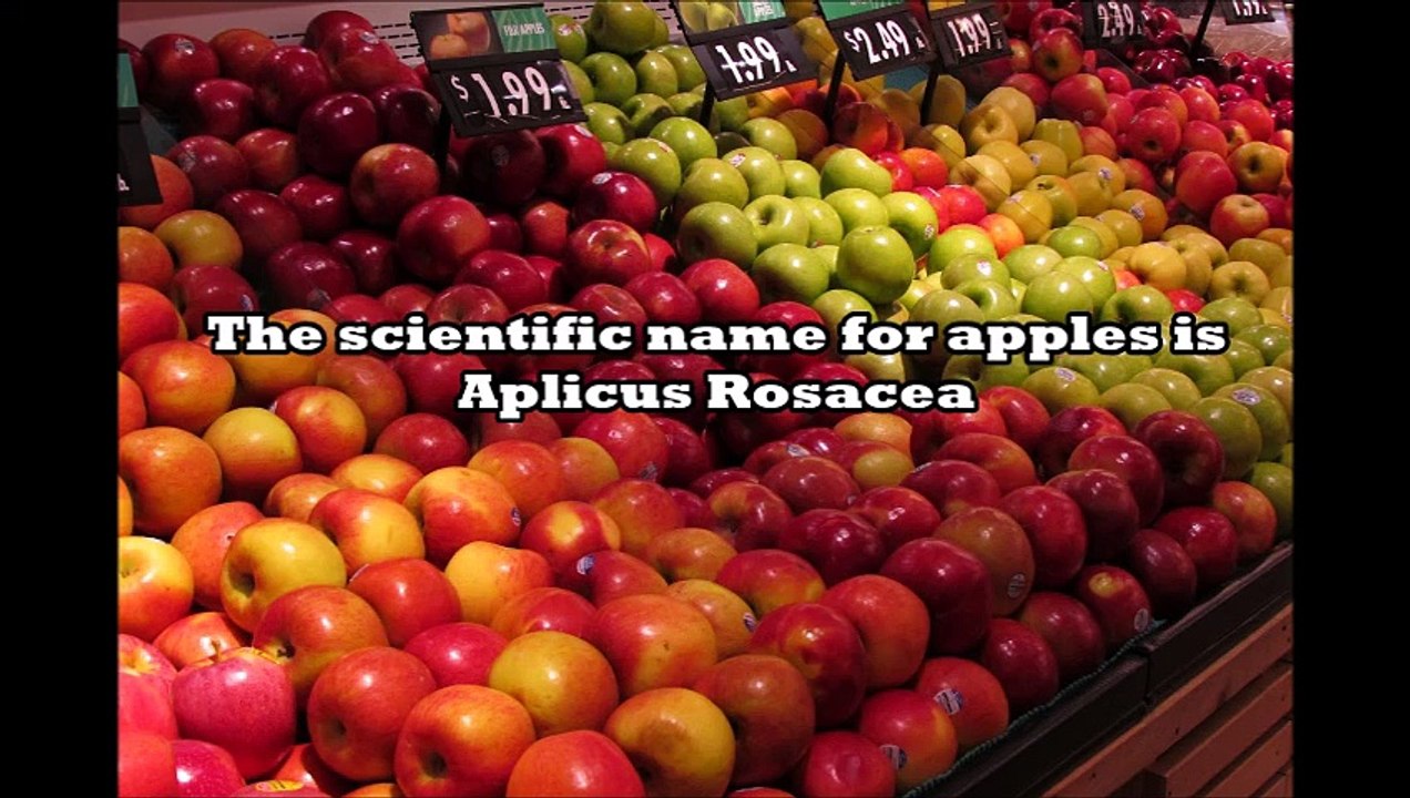 Apples