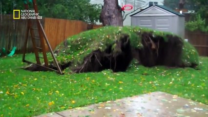 عاصفة نيويورك HD : ما حدث حقا