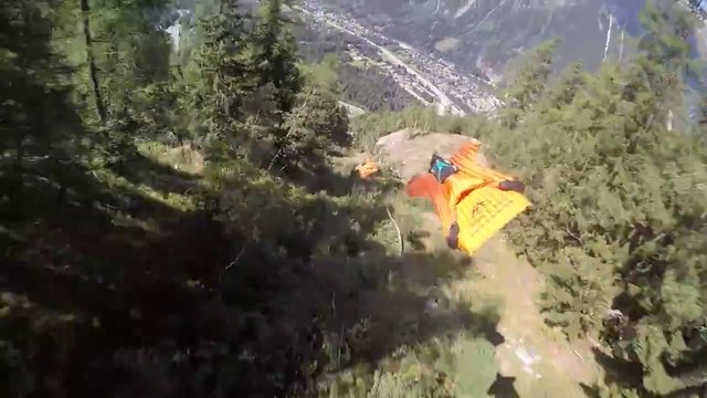 Trois wingsuiters volent à travers les arbres d'une montagne