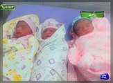 Sialkot Woman Gives Birth to Quintuplets
