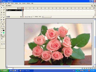 Mask Layer In Macromedia Flash 5
