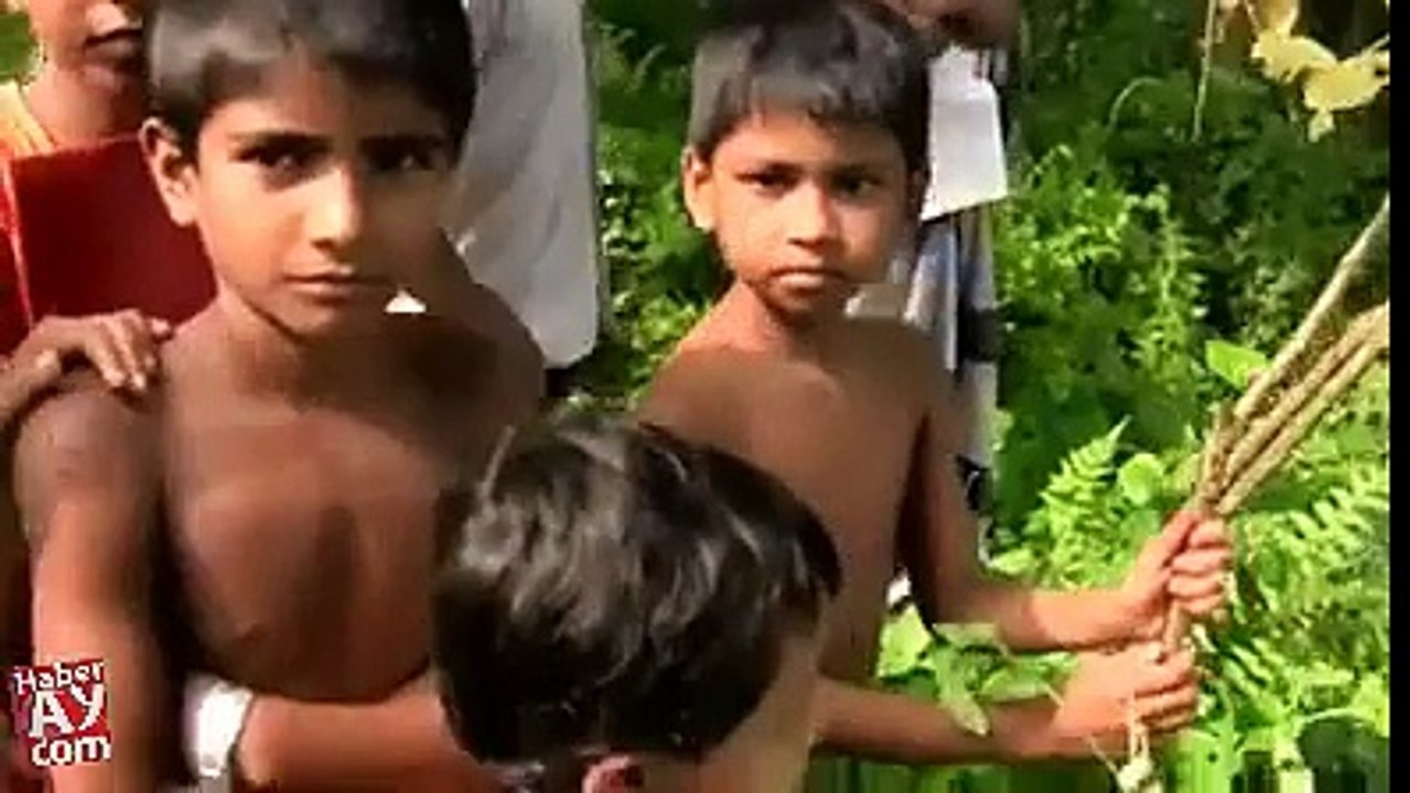 İlginç Balık Avlama Teknikleri