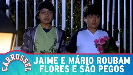 Jaime e Mário roubam flores e são pegos