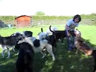 CINDY ET SES COPAINS